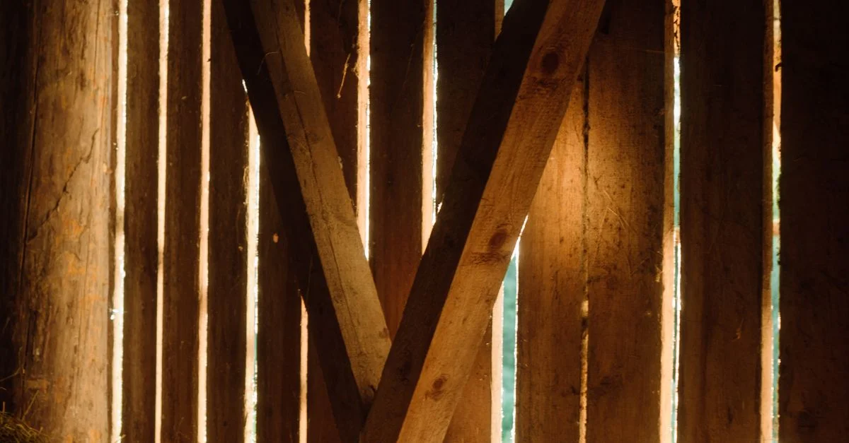La douce lumière du soleil filtre à travers les lattes de bois à l'intérieur d'une grange rustique, créant une atmosphère chaleureuse.